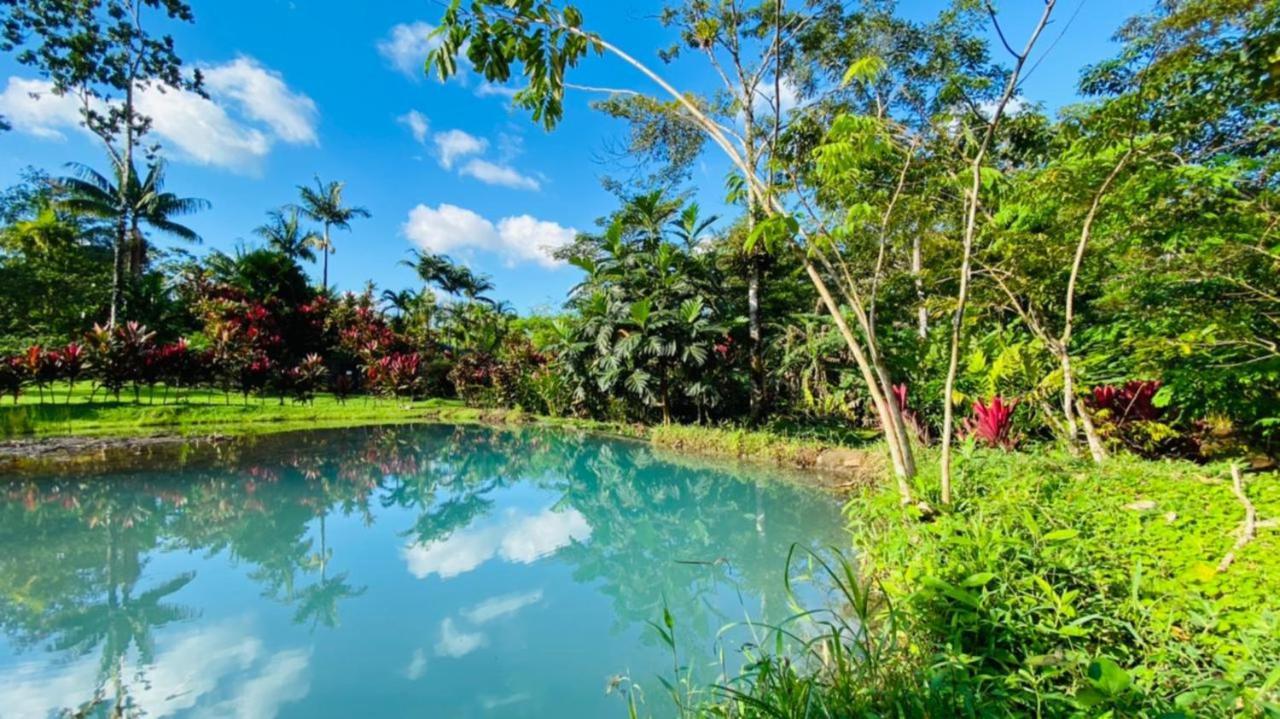 Blue River Resort & Hot Springs Liberia Exteriér fotografie