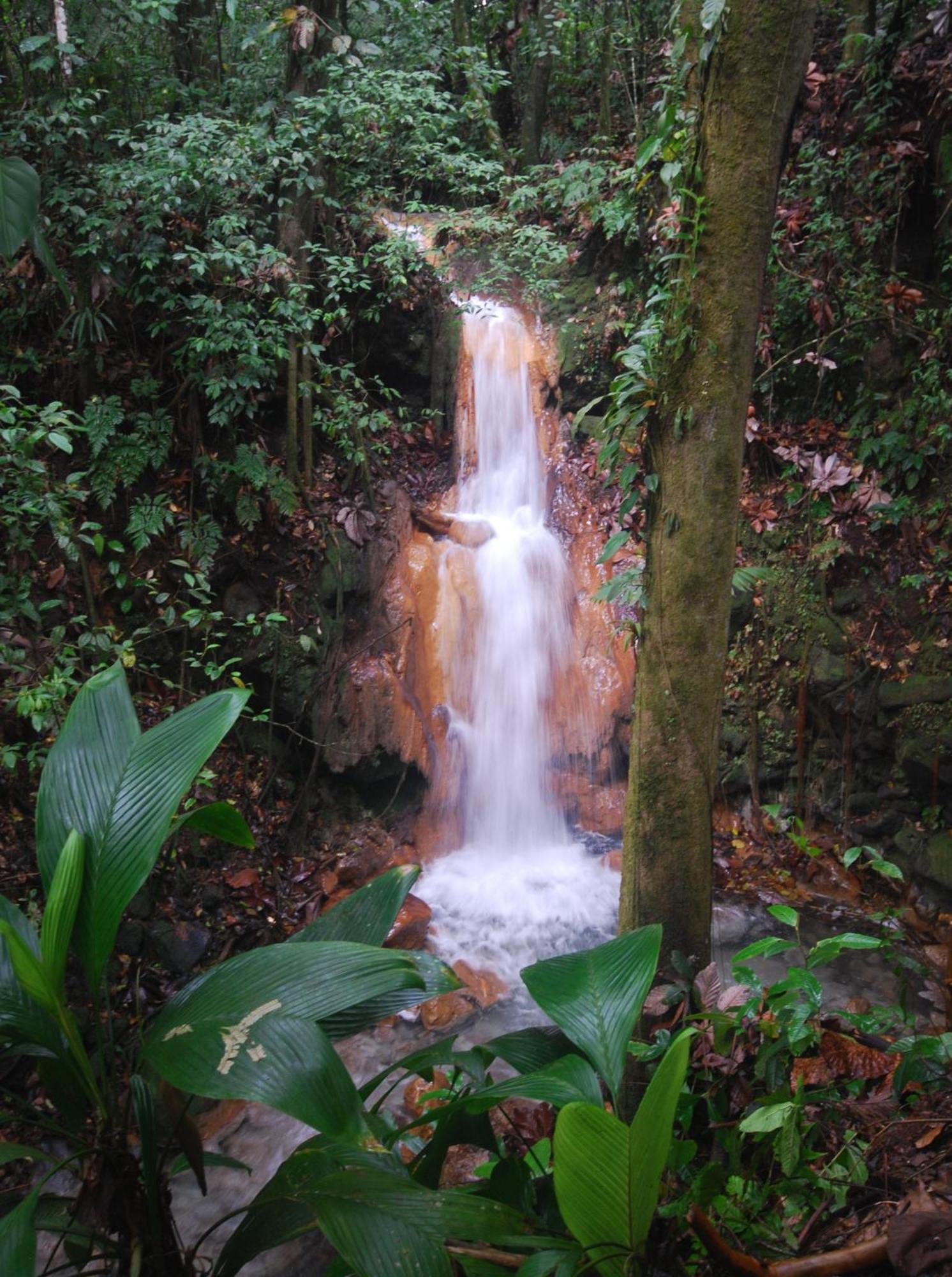 Blue River Resort & Hot Springs Liberia Exteriér fotografie