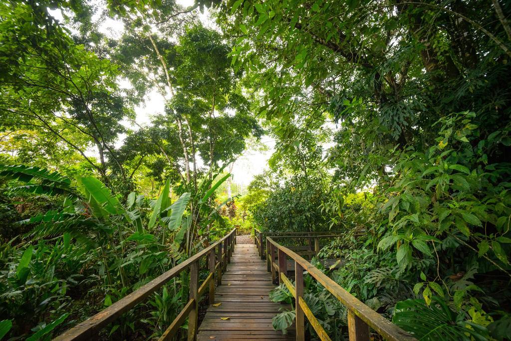 Blue River Resort & Hot Springs Liberia Exteriér fotografie
