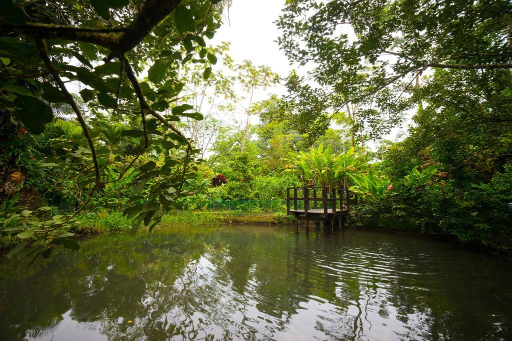 Blue River Resort & Hot Springs Liberia Exteriér fotografie