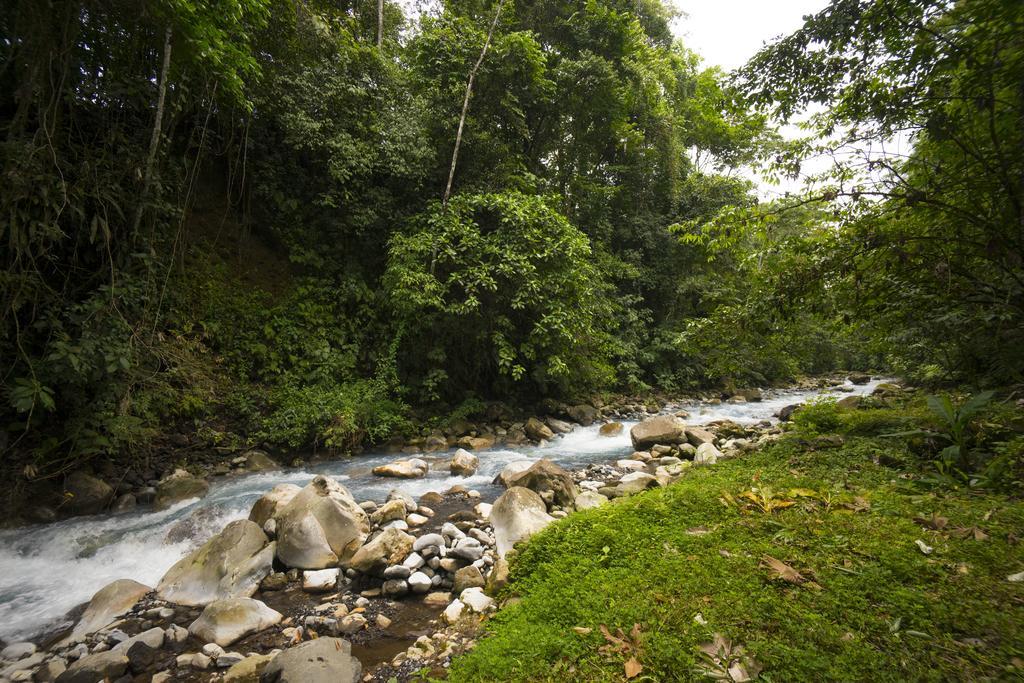 Blue River Resort & Hot Springs Liberia Exteriér fotografie