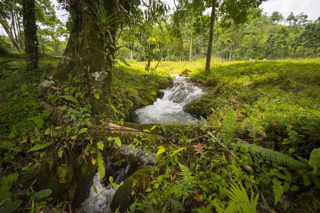 Blue River Resort & Hot Springs Liberia Exteriér fotografie