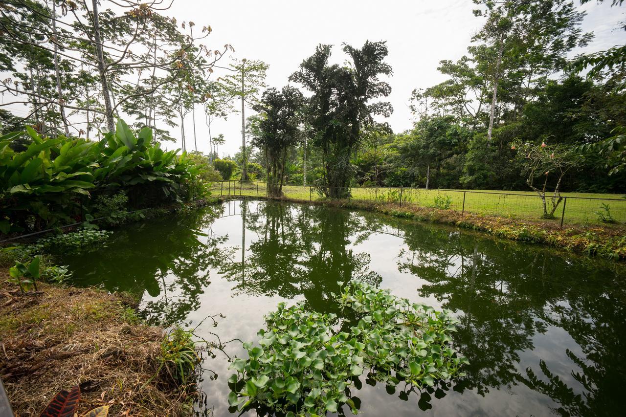Blue River Resort & Hot Springs Liberia Exteriér fotografie